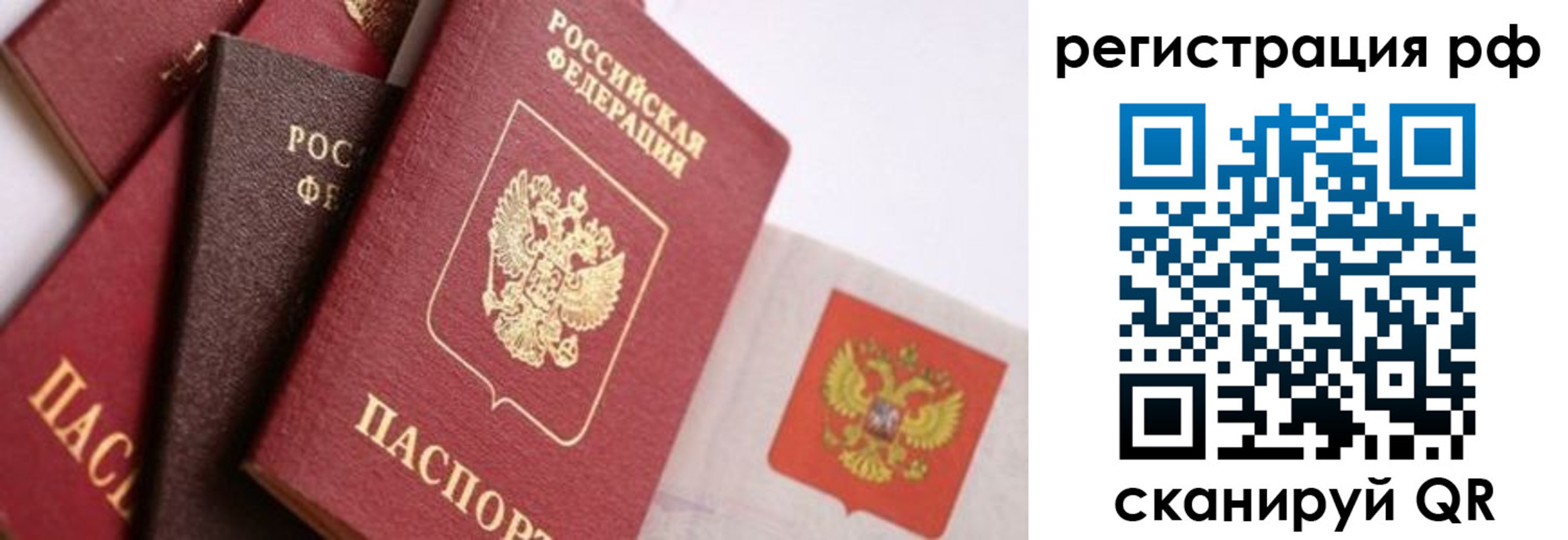 временная регистрация госуслуги в Бердске